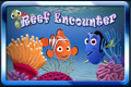 Reef Encounter